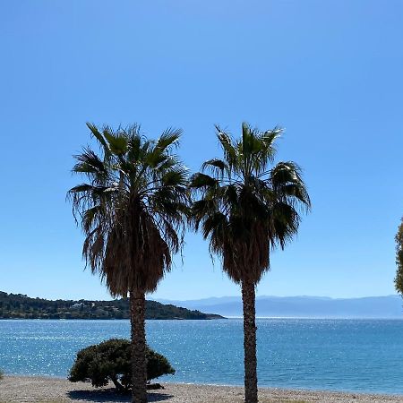 Palm Suite Green Porto Heli Zewnętrze zdjęcie