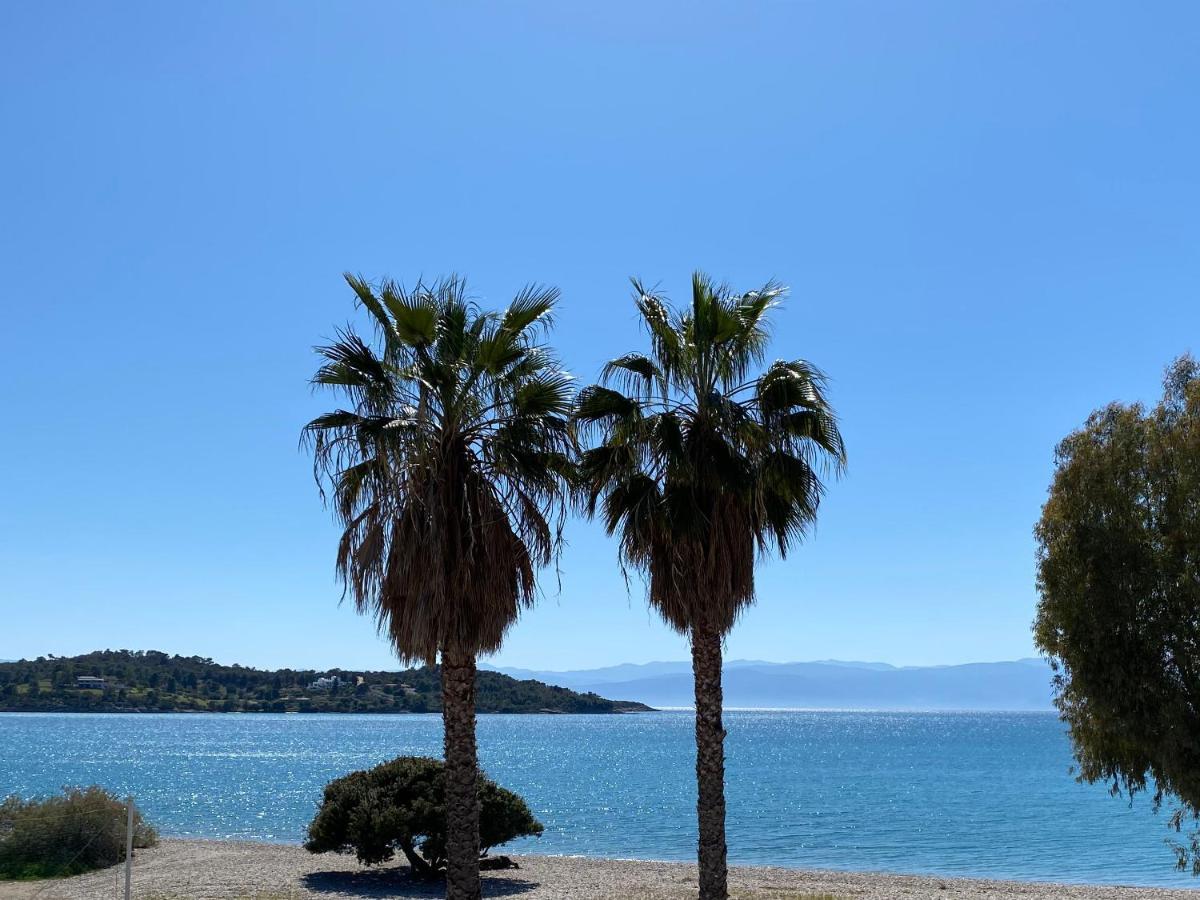 Palm Suite Green Porto Heli Zewnętrze zdjęcie
